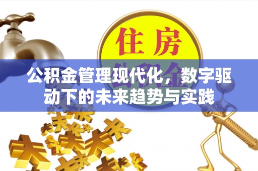 会昌公积金管理现代化，数字驱动下的未来趋势与实践